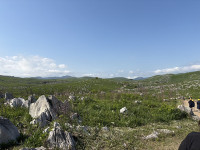 s-IMG_8518