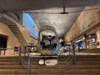s-IMG_8542