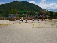 s-P1000477