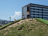 s-P1000454