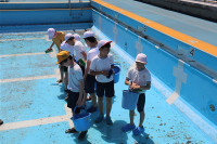 s-IMG_8600