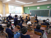 4竹