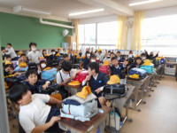 5年