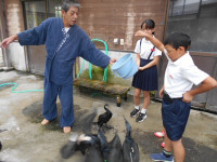 s-DSCN1254