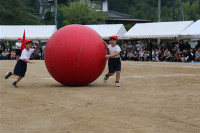 s-IMG_0432