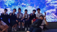 s-IMG_8161