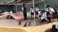 s-IMG_8163