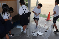 s-IMG_4068