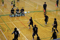 s-IMG_4454