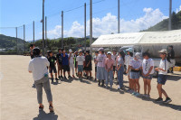 s-IMG_4485